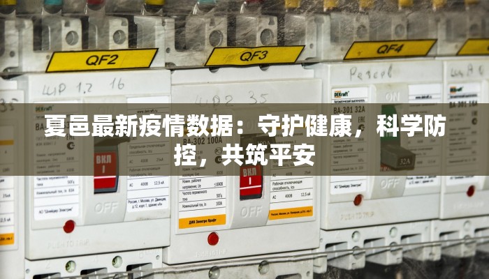 夏邑最新疫情数据：守护健康，科学防控，共筑平安