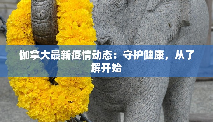 随州最新疫情公告