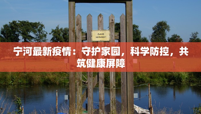 宁河最新疫情:守护家园,科学防控,共筑健康屏障 宁河最新疫情:守护家园,科学防控,共筑健康屏障