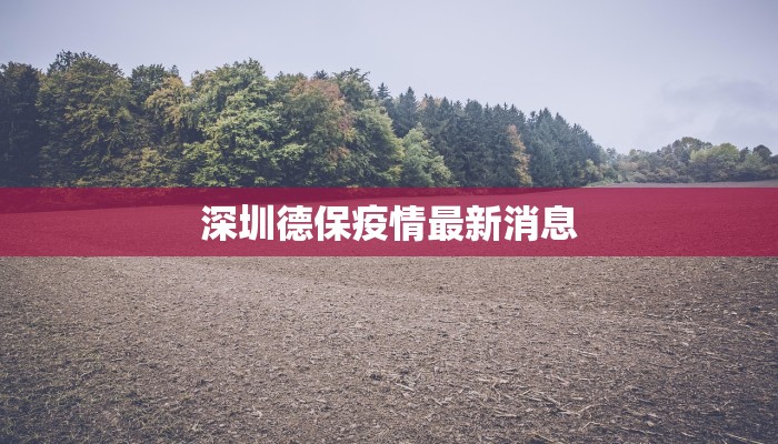 深圳德保疫情最新消息 深圳德保疫情最新消息