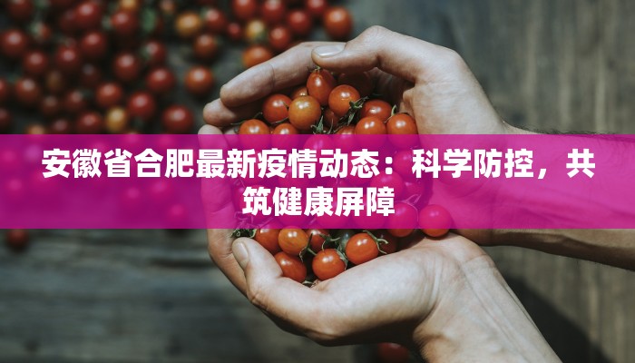 安徽省合肥最新疫情动态:科学防控,共筑健康屏障 安徽省合肥最新疫情动态:科学防控,共筑健康屏障