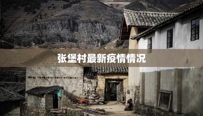 张堡村最新疫情情况