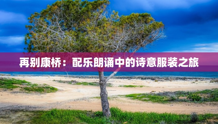 邗江县查快递物流：便捷追踪，畅享无忧物流生活