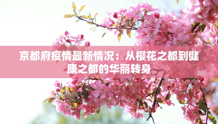 京都府疫情最新情况：从樱花之都到健康之都的华丽转身