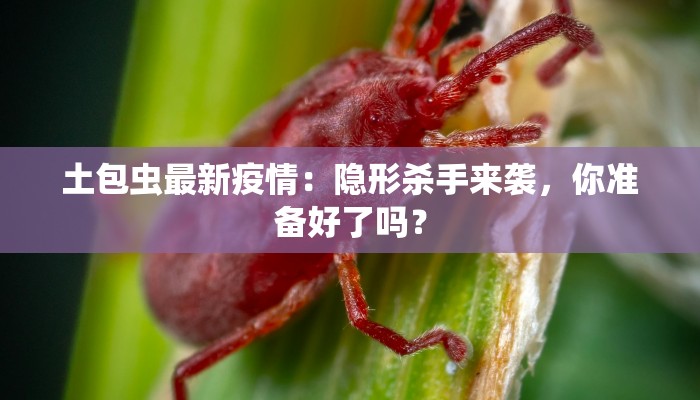土包虫最新疫情：隐形杀手来袭，你准备好了吗？