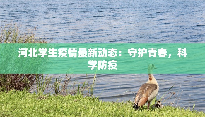 河北学生疫情最新动态：守护青春，科学防疫