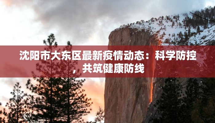 沈阳市大东区最新疫情动态:科学防控,共筑健康防线 沈阳市大东区最新疫情动态:科学防控,共筑健康防线