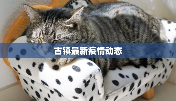 古镇最新疫情动态 古镇最新疫情动态