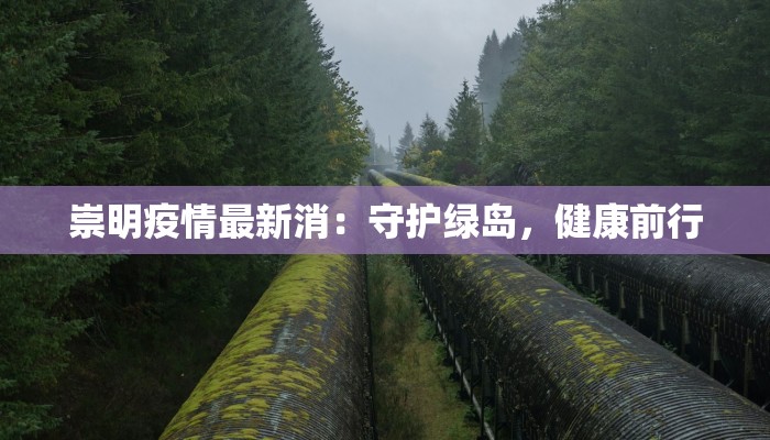 崇明疫情最新消：守护绿岛，健康前行