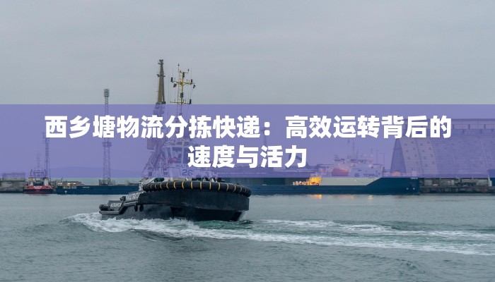 西乡塘物流分拣快递:高效运转背后的速度与活力 西乡塘物流分拣快递:高效运转背后的速度与活力