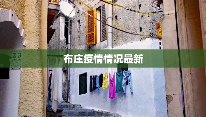 布庄疫情情况最新
