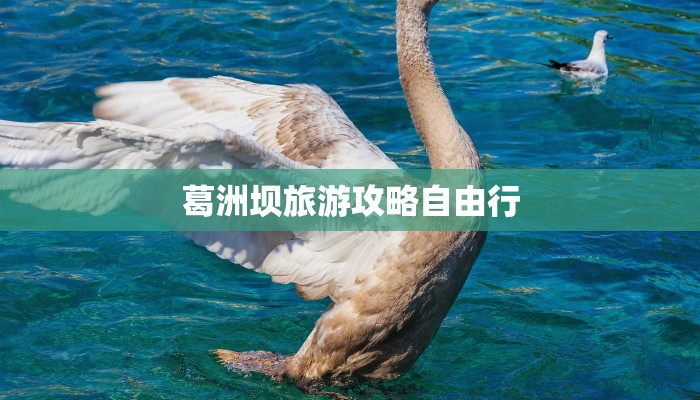 云南沙溪最新疫情通报 云南沙溪最新疫情通报