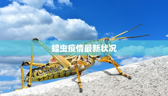 蝗虫疫情最新状况 蝗虫疫情最新状况
