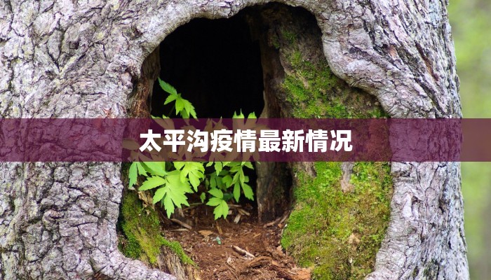 太平沟疫情最新情况