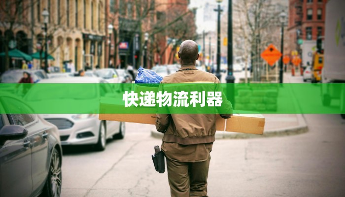 物流快递包套装款：高效便捷，包裹守护专家