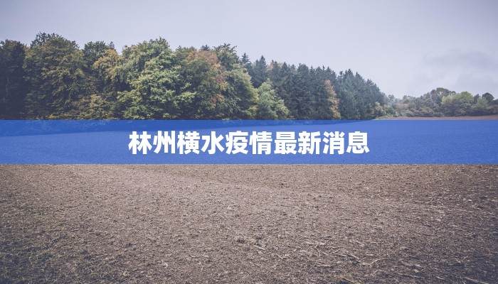 林州横水疫情最新消息