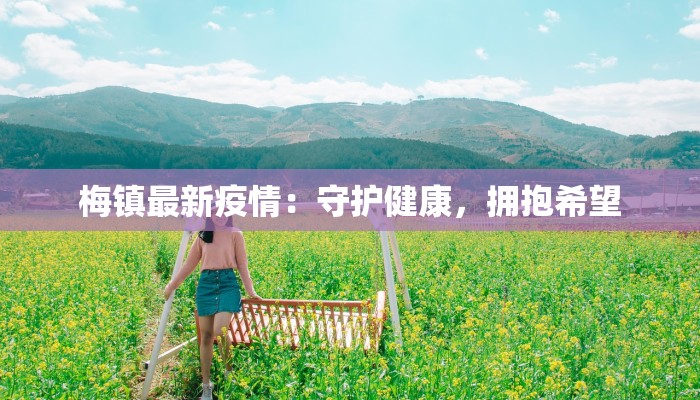 梅镇最新疫情：守护健康，拥抱希望