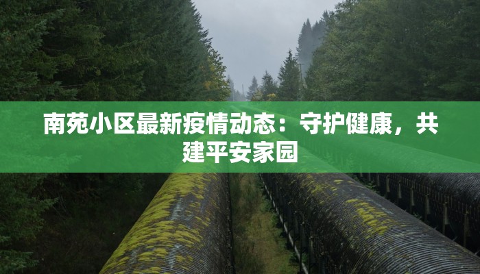 南苑小区最新疫情动态：守护健康，共建平安家园