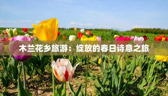 木兰花乡旅游：绽放的春日诗意之旅