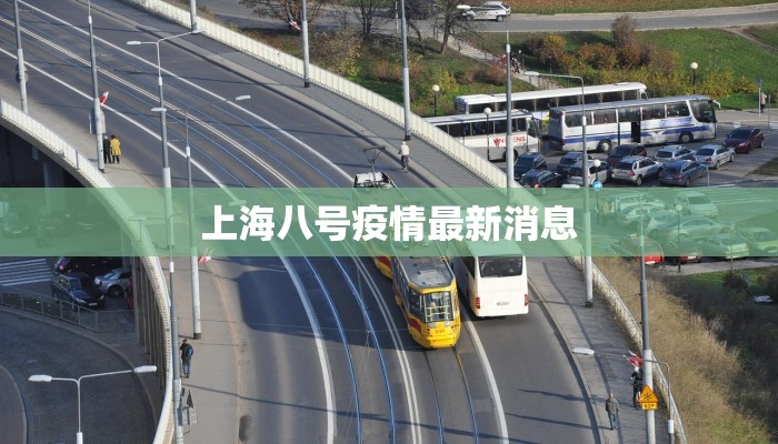 上海八号疫情最新消息 上海八号疫情最新消息
