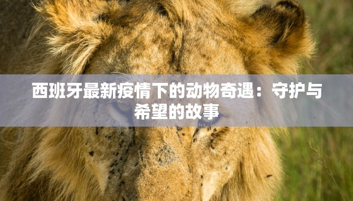 西班牙最新疫情下的动物奇遇:守护与希望的故事 西班牙最新疫情下的动物奇遇:守护与希望的故事