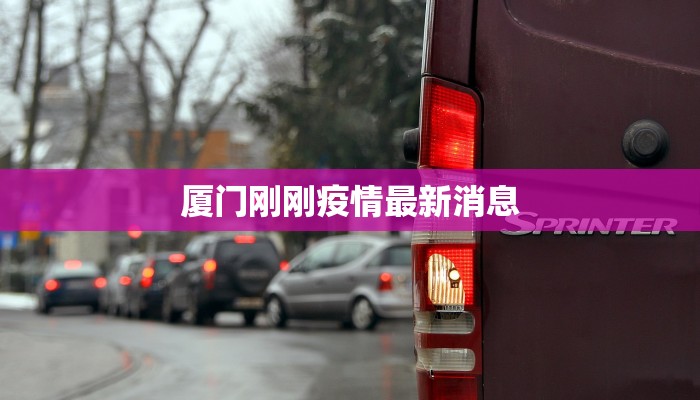 厦门刚刚疫情最新消息