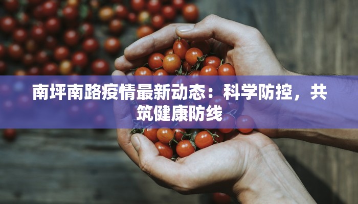 南坪南路疫情最新动态:科学防控,共筑健康防线 南坪南路疫情最新动态:科学防控,共筑健康防线