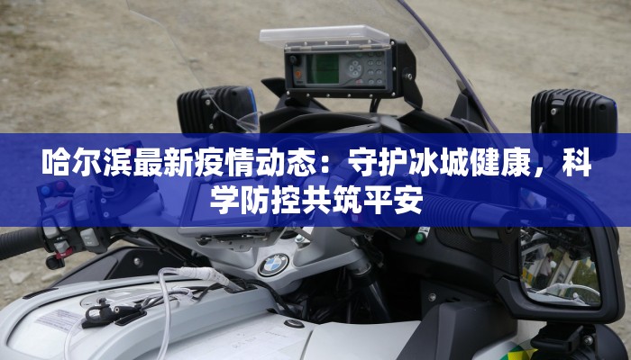 哈尔滨最新疫情动态:守护冰城健康,科学防控共筑平安 哈尔滨最新疫情动态:守护冰城健康,科学防控共筑平安