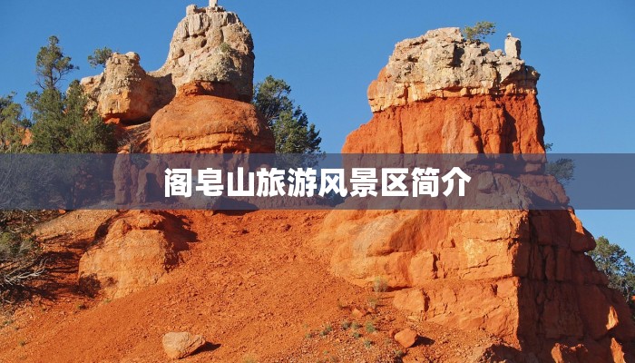 阁皂山旅游风景区简介