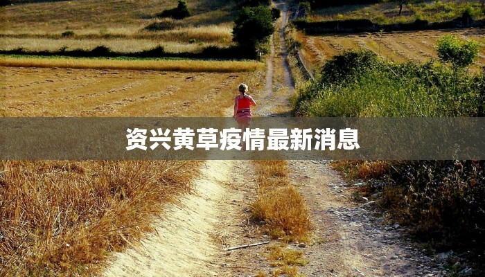 资兴黄草疫情最新消息 资兴黄草疫情最新消息