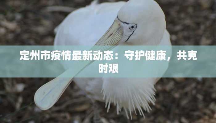 金山办公疫情最新：WPS助力企业重启，数字化办公新纪元