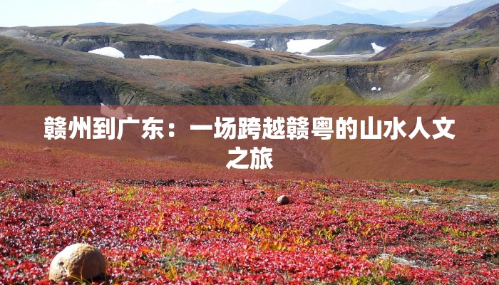 西安疫情人数最新通知 西安疫情人数最新通知