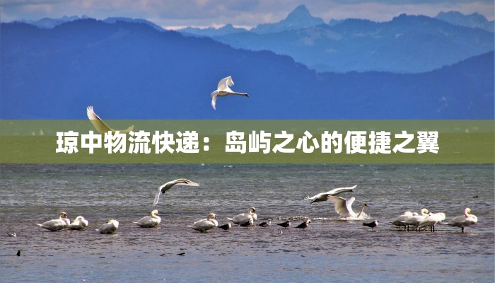 琼中物流快递：岛屿之心的便捷之翼