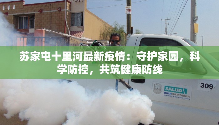 苏家屯十里河最新疫情:守护家园,科学防控,共筑健康防线 苏家屯十里河最新疫情:守护家园,科学防控,共筑健康防线