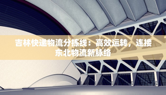 吉林快递物流分拣线：高效运转，连接东北物流新脉络