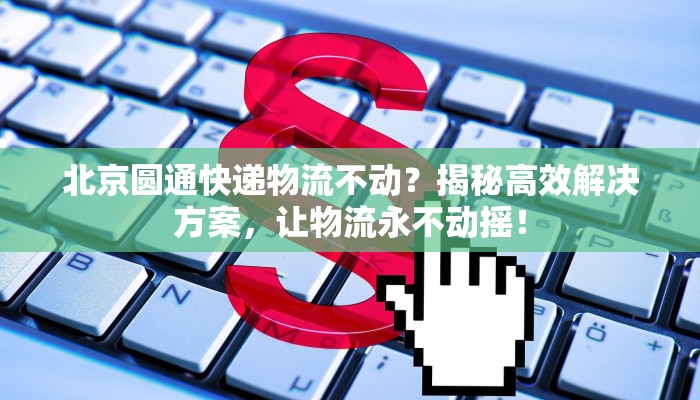 北京圆通快递物流不动？揭秘高效解决方案，让物流永不动摇！