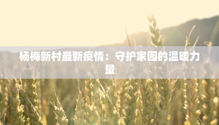 杨梅新村最新疫情:守护家园的温暖力量 杨梅新村最新疫情:守护家园的温暖力量