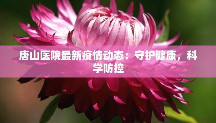 唐山医院最新疫情动态：守护健康，科学防控