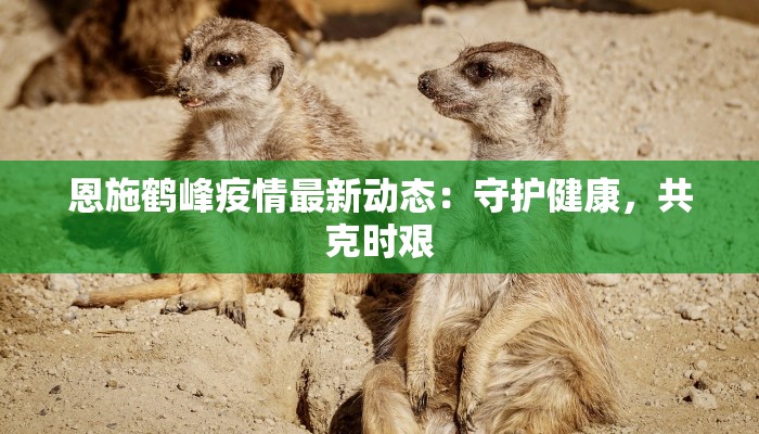 疫情最新动态云南疫情 疫情最新动态云南疫情