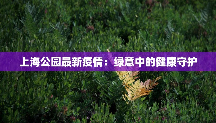 上海公园最新疫情:绿意中的健康守护 上海公园最新疫情:绿意中的健康守护
