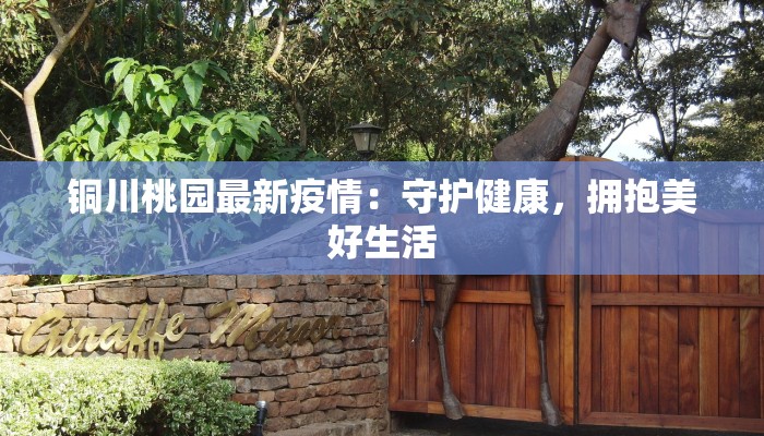 铜川桃园最新疫情:守护健康,拥抱美好生活 铜川桃园最新疫情:守护健康,拥抱美好生活