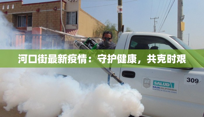 河口街最新疫情：守护健康，共克时艰