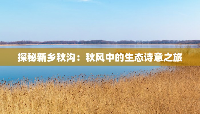 探秘新乡秋沟:秋风中的生态诗意之旅 探秘新乡秋沟:秋风中的生态诗意之旅
