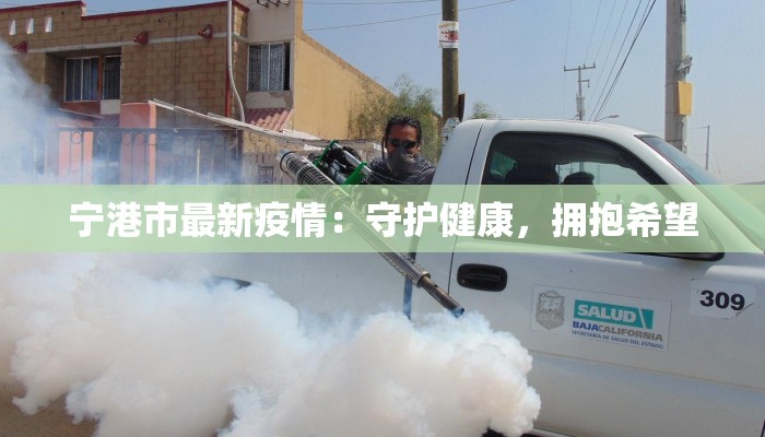 宁港市最新疫情:守护健康,拥抱希望 宁港市最新疫情:守护健康,拥抱希望