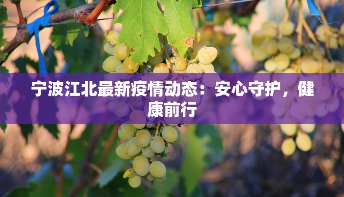 宁波江北最新疫情动态:安心守护,健康前行 宁波江北最新疫情动态:安心守护,健康前行