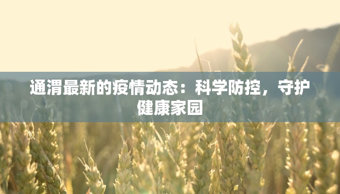 通渭最新的疫情动态:科学防控,守护健康家园 通渭最新的疫情动态:科学防控,守护健康家园