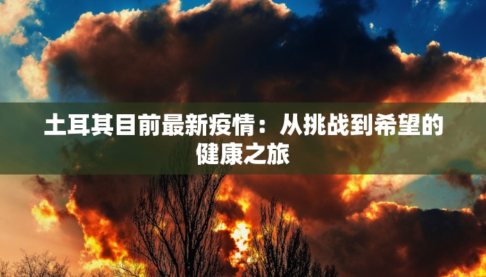 土耳其目前最新疫情:从挑战到希望的健康之旅 土耳其目前最新疫情:从挑战到希望的健康之旅