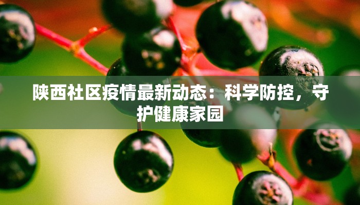 陕西社区疫情最新动态：科学防控，守护健康家园