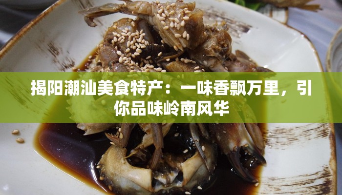 揭阳潮汕美食特产:一味香飘万里,引你品味岭南风华 揭阳潮汕美食特产:一味香飘万里,引你品味岭南风华