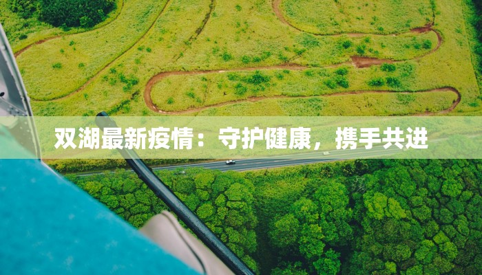双湖最新疫情:守护健康,携手共进 双湖最新疫情:守护健康,携手共进